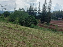  Grundstück zu verkaufen in Khao Kho, Phetchabun, Thung Samo, Khao Kho, Phetchabun