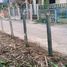  Land for sale in Wiang, Chiang Rai, Wiang