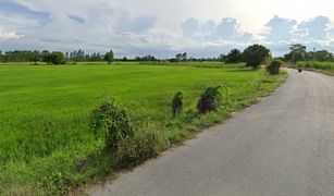 N/A Grundstück zu verkaufen in Ban Sa, Suphan Buri 