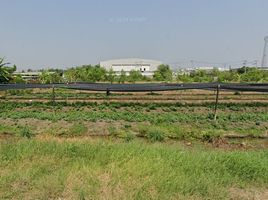  Grundstück zu verkaufen in Krathum Baen, Samut Sakhon, Khlong Maduea, Krathum Baen