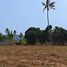  Grundstück zu verkaufen in Pran Buri, Prachuap Khiri Khan, Wang Phong, Pran Buri, Prachuap Khiri Khan, Thailand