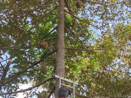  Grundstück zu verkaufen in Mueang Ranong, Ranong, Sai Daeng