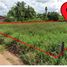  Land for sale in Don Thong, Mueang Phitsanulok, Don Thong