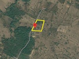  Land for sale in Ubon Ratchathani, Pao, Trakan Phuet Phon, Ubon Ratchathani