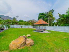 10 Schlafzimmer Villa zu verkaufen in Phuket Town, Phuket, Rawai