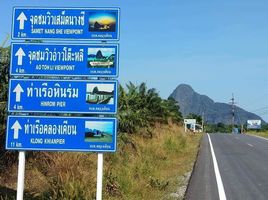  Grundstück zu verkaufen in Takua Thung, Phangnga, Khlong Khian