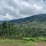  Land for sale in Costa Rica, Acosta, San Jose, Costa Rica