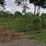  Land for sale in Nong Ya Plong, Phetchaburi, Tha Takhro, Nong Ya Plong