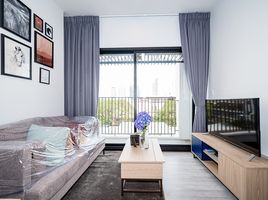 1 Schlafzimmer Appartement zu vermieten im XT Ekkamai, Khlong Tan Nuea