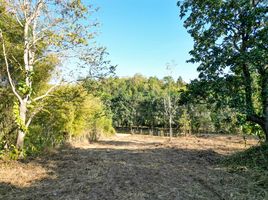  Land for sale in Nam Phrae, Hang Dong, Nam Phrae