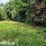  Land for sale in San Jose, Perez Zeledon, San Jose