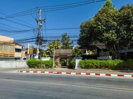 3 спален Здания целиком for sale in Чианг Маи, San Klang, Сан Кампаенг, Чианг Маи