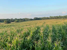  Land for sale in Nakhon Ratchasima, Khanong Phra, Pak Chong, Nakhon Ratchasima