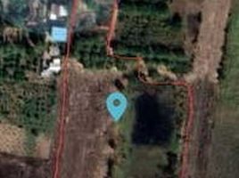  Land for sale in Ban Mi, Lop Buri, Chon Muang, Ban Mi