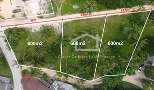 2 Bedrooms Villa for sale in Ko Pha-Ngan, Koh Samui 