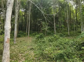  Land for sale in Thalang, Phuket, Pa Khlok, Thalang