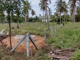  Grundstück zu verkaufen in Bang Saphan, Prachuap Khiri Khan, Thong Chai, Bang Saphan