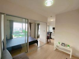 1 Schlafzimmer Appartement zu verkaufen im Plum Condo Bangyai Station, Bang Rak Phatthana, Bang Bua Thong, Nonthaburi, Thailand