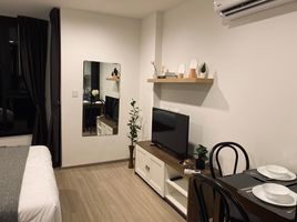 Studio Wohnung zu verkaufen im THE BASE Central Phuket, Wichit