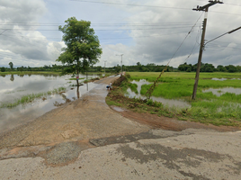  Land for sale in Sa Khwan, Mueang Sa Kaeo, Sa Khwan