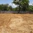  Land for sale in Sukhothai, Wang Takhro, Ban Dan Lan Hoi, Sukhothai