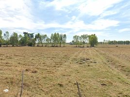  Land for sale in Mueang Surin, Surin, Samrong, Mueang Surin
