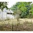  Land for sale in Costa Rica, Flores, Heredia, Costa Rica