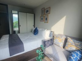 Studio Wohnung zu verkaufen im THE BASE Central Phuket, Wichit