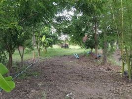  Land for sale in Khon Kaen, Mueang Roi Et, Khon Kaen