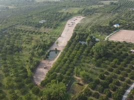  Grundstück zu verkaufen in Pa Sang, Lamphun, Tha Tum