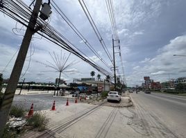  Grundstück zu verkaufen in Sam Phran, Nakhon Pathom, Om Yai, Sam Phran