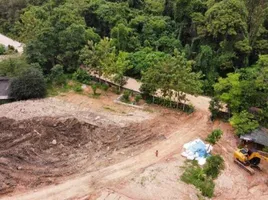  Land for sale in Choeng Thale, Thalang, Choeng Thale