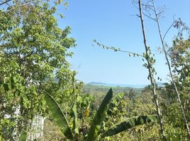  Land for sale at Yamu Hills, Pa Khlok