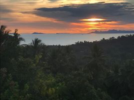  Grundstück zu verkaufen in Koh Samui, Surat Thani, Taling Ngam