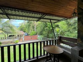 3 Schlafzimmer Villa zu verkaufen in Koh Samui, Surat Thani, Na Mueang