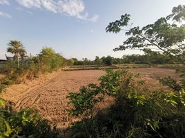  Grundstück zu verkaufen in Kantharawichai, Maha Sarakham, Tha Khon Yang