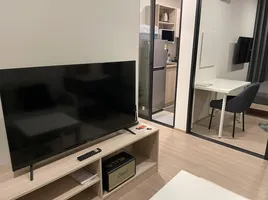 Studio Condo for rent at Dcondo Reef Phuket, Kathu, Kathu, Phuket