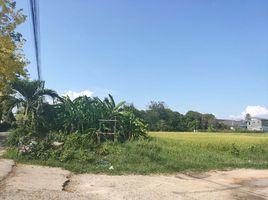  Land for sale in Phu Doi Market, Nong Chom, Nong Chom