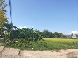  Land for sale in San Sai, Chiang Mai, Nong Chom, San Sai