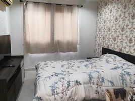 1 Schlafzimmer Appartement zu vermieten im Park Lane Jomtien, Nong Prue