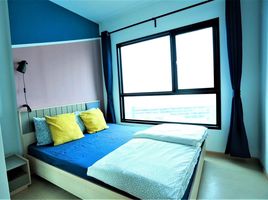 1 Schlafzimmer Wohnung zu verkaufen im The Tree Sukhumvit 71-Ekamai, Suan Luang, Suan Luang