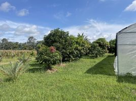  Grundstück zu verkaufen in Samrong, Ubon Ratchathani, Samrong