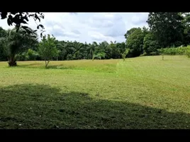  Land for sale in Khok Kloi, Phangnga, Khok Kloi, Takua Thung