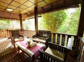 41 Bedroom Hotel for sale in Chiang Mai, Chiang Dao, Chiang Dao, Chiang Mai