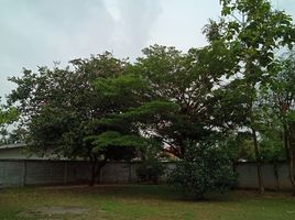  Land for sale in Huai Yai, Pattaya, Huai Yai