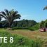  Land for sale in Guanacaste, Carrillo, Guanacaste