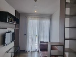 1 Schlafzimmer Appartement zu vermieten im Ceil By Sansiri, Khlong Tan Nuea