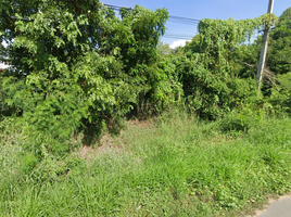  Land for sale in Sakae Krang, Mueang Uthai Thani, Sakae Krang