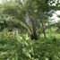  Land for sale in South Tongu Volta, South Tongu, Volta
