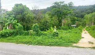 N/A Land for sale in Thep Krasattri, Phuket 